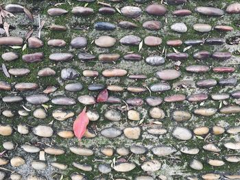 Full frame shot of decoration