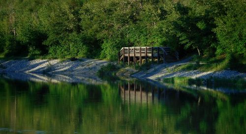 Scenic view of dam by river in forest