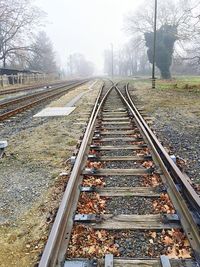 Railroad track passing through trees