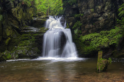 Scenic view of waterfall in forest