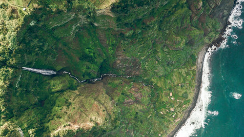 High angle view of plants by sea