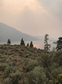 Scenic view of landscape against sky during sunset