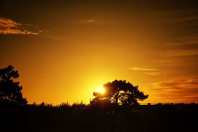 Silhouette trees against sky during sunset