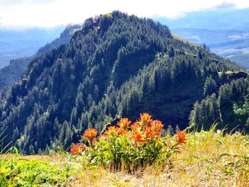 Scenic view of mountains against sky