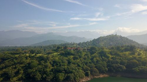 Scenic view of forest against sky