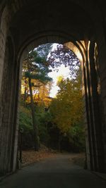 Trees seen through arch window of building