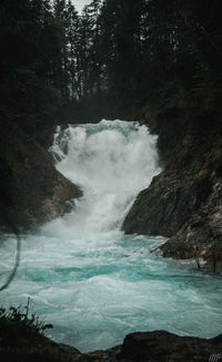 Scenic view of waterfall in forest