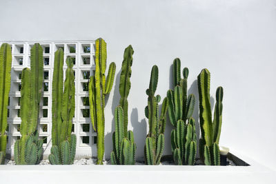 High angle view of building against clear sky