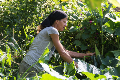 Rural working woman in the vegetable garden person