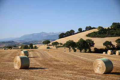 Hay bales on field against sky