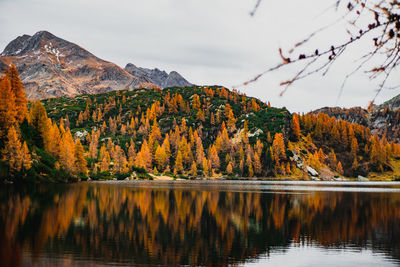 Scenic view of lake by trees against sky during autumn