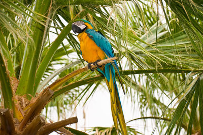 Bird perching on a branch