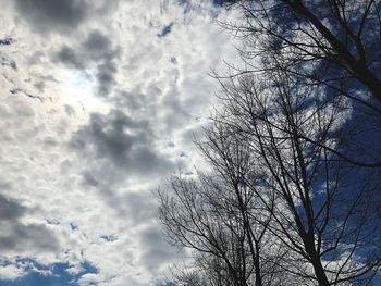 Low angle view of bare tree against sky