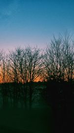 Silhouette bare trees against sky during sunset
