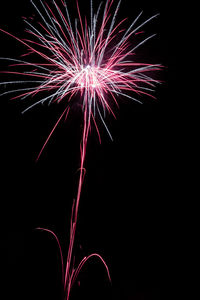 Low angle view of firework display against sky at night