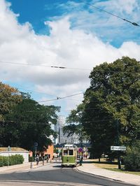 Road by trees against sky in city