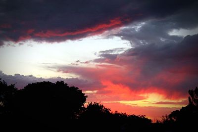Silhouette of tree against cloudy sky