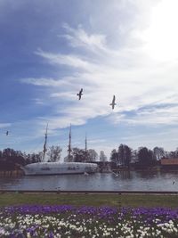 Airplane flying over water against sky