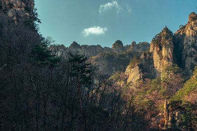 Panoramic view of trees and mountains against sky