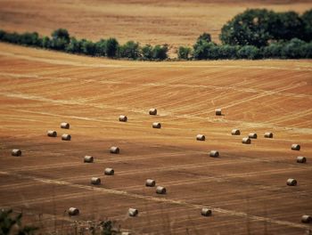 Hay bales on field