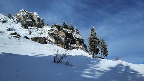 Snow covered trees on mountain against sky