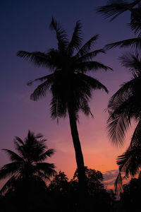 Low angle view of palm trees against sky during sunset