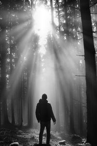 Full length rear view of man standing in forest