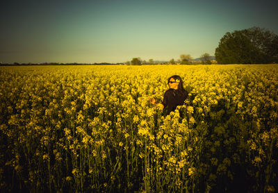 Scenic view of yellow flowering plants on field