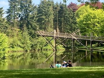 People sitting on riverbank by trees against sky