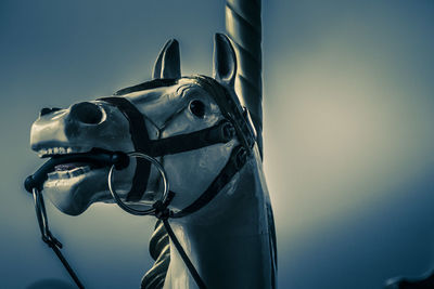 Close-up of a horse