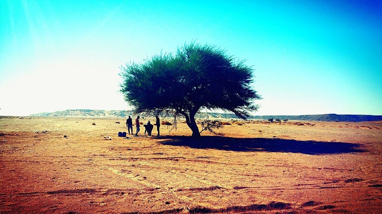 landscape, nature, real people, sand, desert, scenics, clear sky, tranquil scene, outdoors, sky, day, tree, beauty in nature, adventure, men, arid climate, sand dune, mammal, adult, people