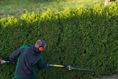 Man pruning plants in garden