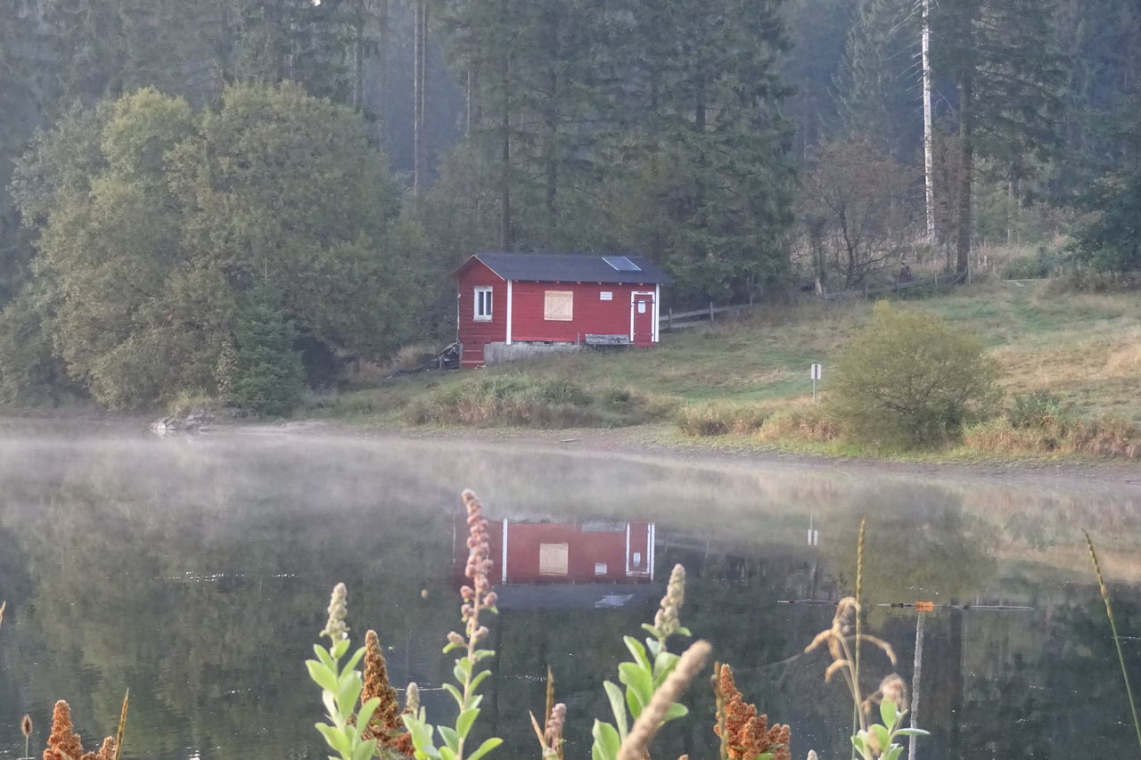 HOUSE BY LAKE AND TREES IN FOREST