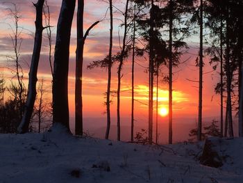 Silhouette trees on snow covered land during sunset