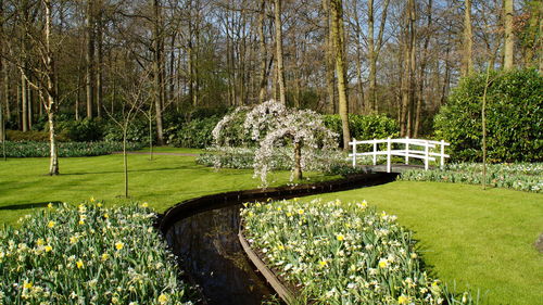 Scenic view of lawn and grass