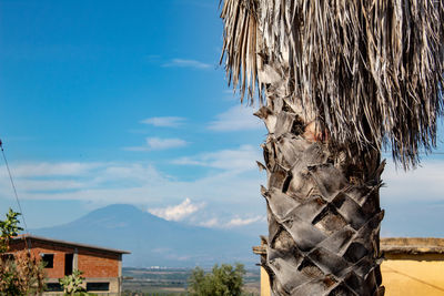 Panoramic view of buildings and palm trees against sky