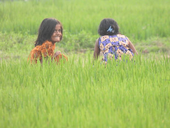 grassland