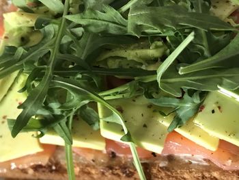 High angle view of chopped vegetables