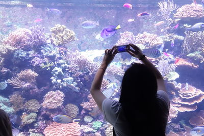 Rear view of woman photographing fishes swimming in tank at aquarium