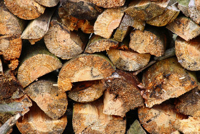 Full frame shot of logs in forest