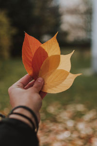 Close-up of hand holding autumn leaf