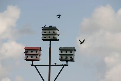 Low angle view of birds flying against sky