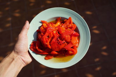 High angle view of person holding red chili