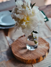 Big white flower in a glass. wedding decor in minimal style