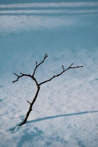 High angle view of frozen bare tree