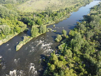 High angle view of river amidst trees in forest