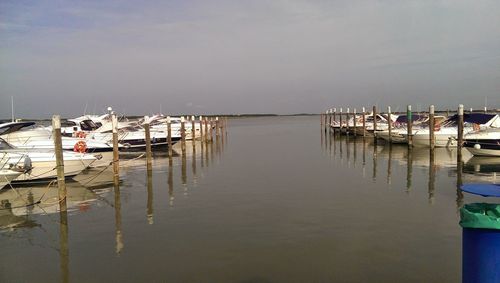 Sailboats moored at harbor