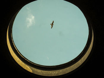 Low angle view of bird flying in blue sky seen through skylight