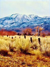 Scenic view of field and snowcapped mountains against sky