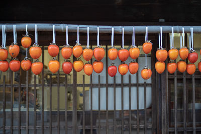 Orange fruits hanging on clothesline